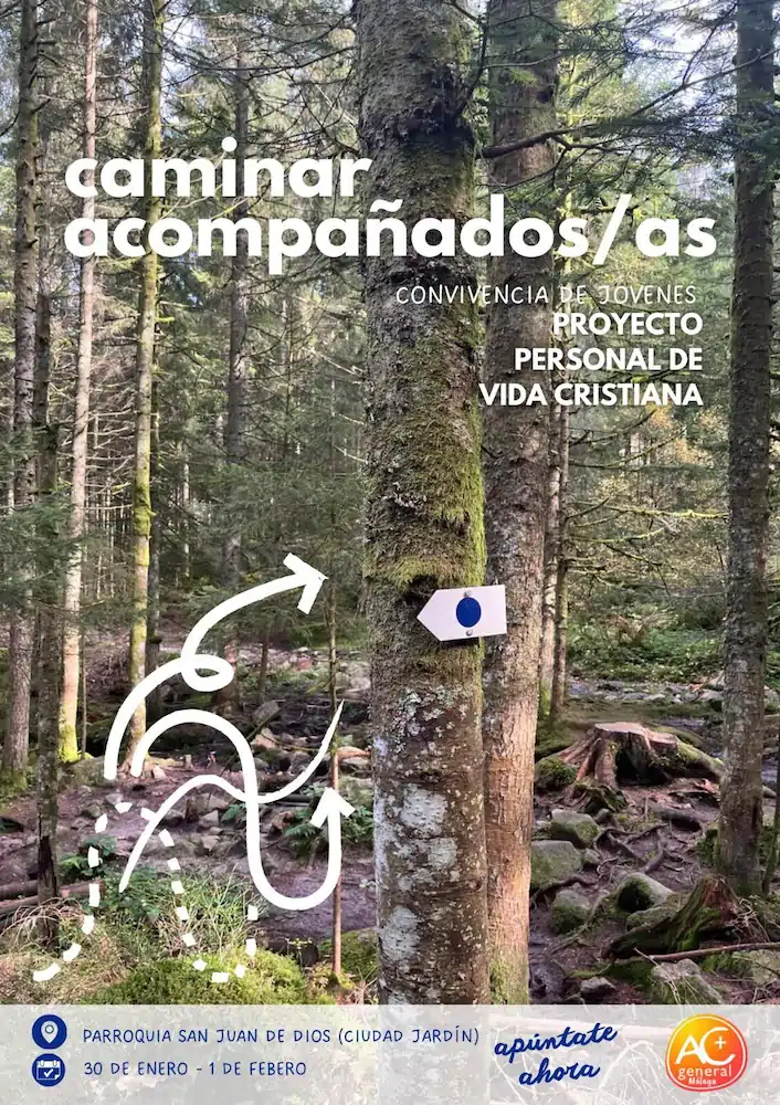 Convivencia de Jóvenes: PROYECTO PERSONAL DE VIDA CRISTIANA PARA JÓVENES MAYORES DE 20 AÑOS